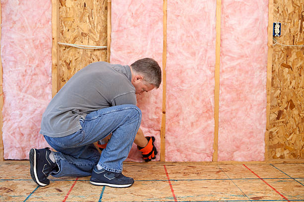Best Cellulose Insulation  in Russell, PA